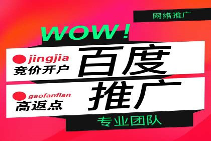 百度优化推广案例：案例分析及优化效果